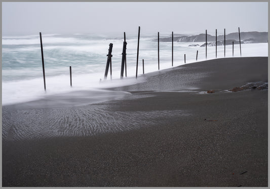 Black sand and wild waves thrill me with questions.