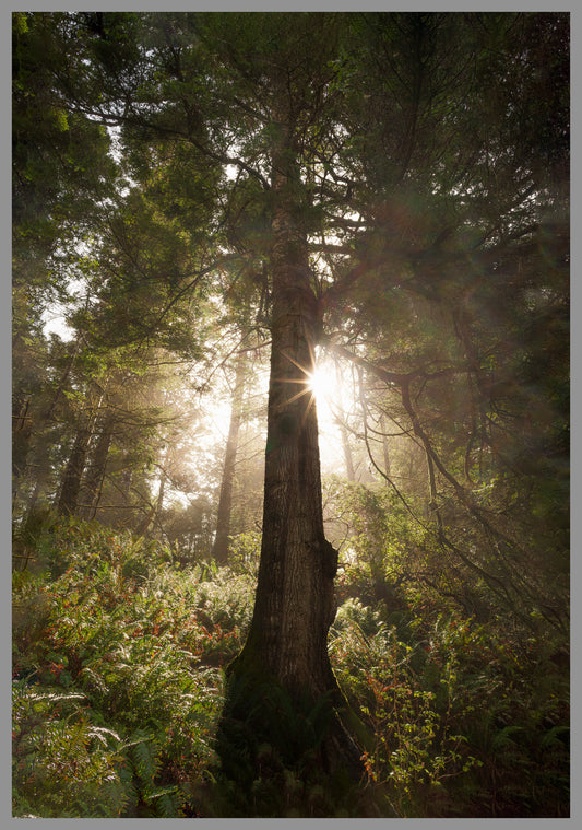 Turn around in any place, at any time, and open your heart.