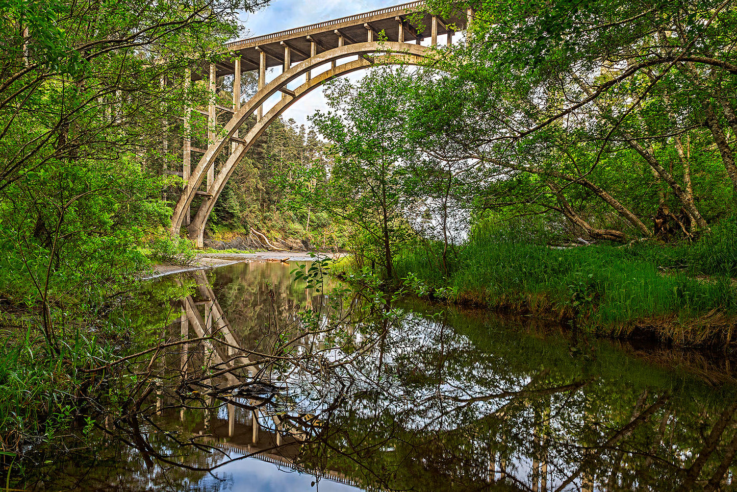 Morning Reflection-Russian Gulch