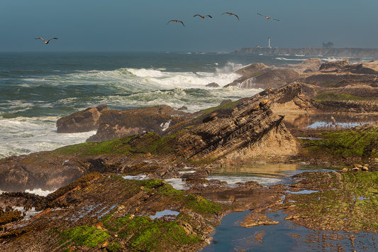 North Coastal Flyover