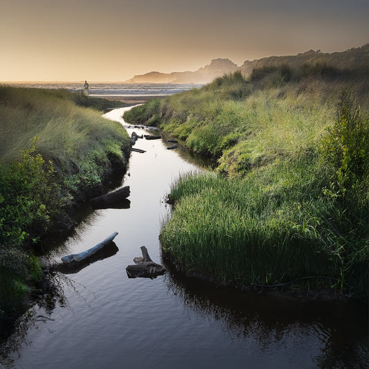 Doyle Creek Afternoon