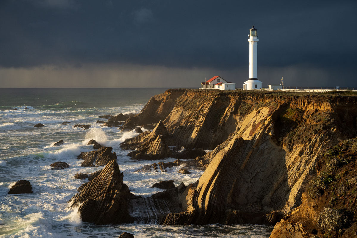 Hearts & Monuments - Pt. Arena Storm