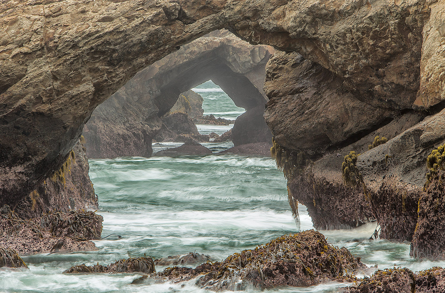 Seal's Eye View No. 1