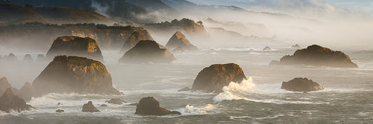 Sea of Stacks - Cuffey's Cove