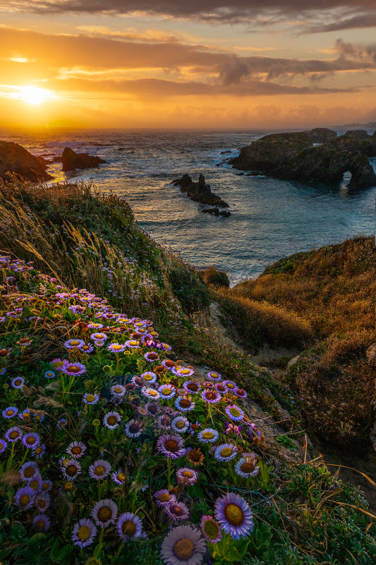 Mid Summer Magic 11x14 mat