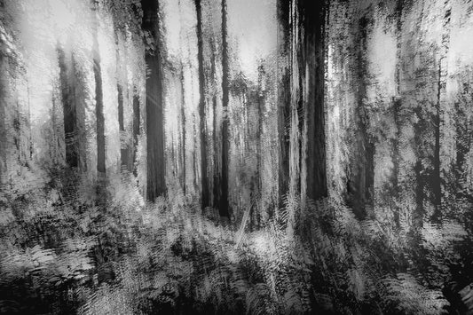 The forest spirits greet us with silence.
