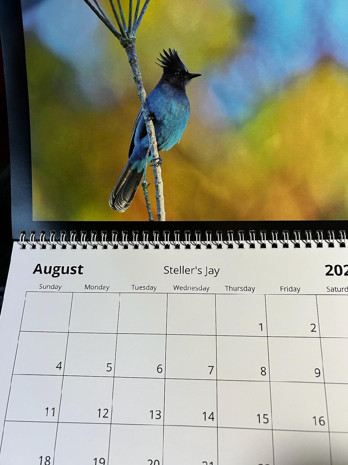 2024 Calendars by Feather's Fotos