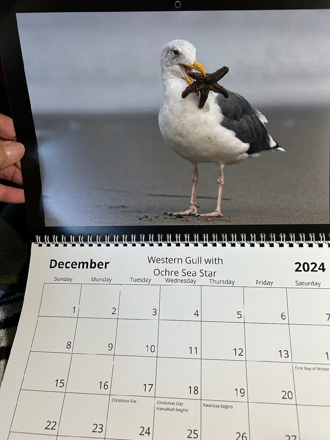 2024 Calendars by Feather's Fotos