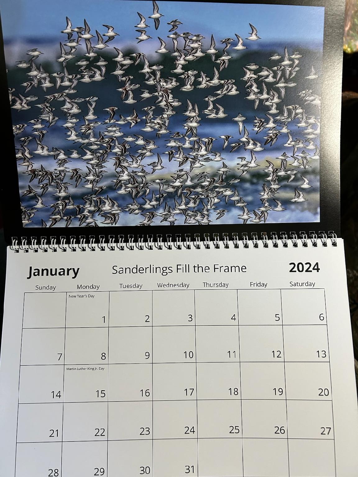 2024 Calendars by Feather's Fotos