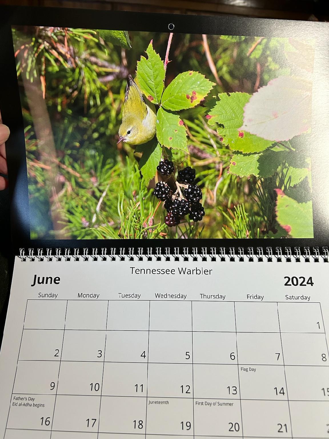 2024 Calendars by Feather's Fotos