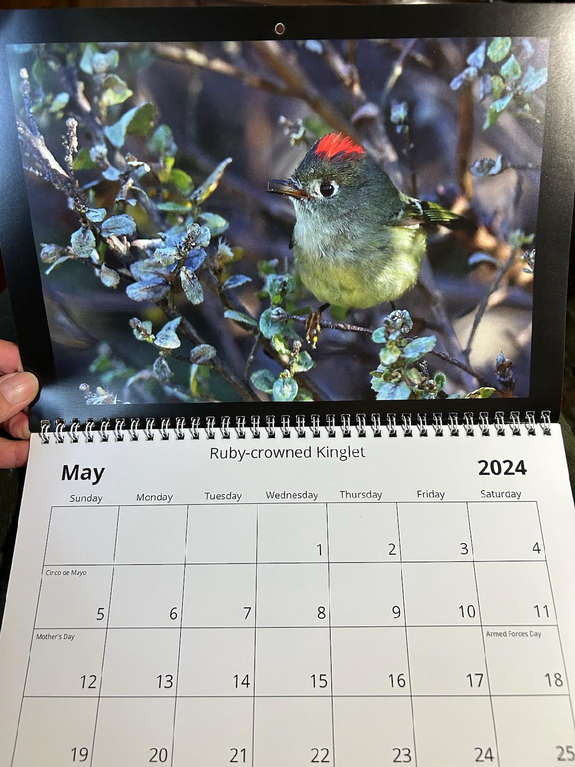 2024 Calendars by Feather's Fotos