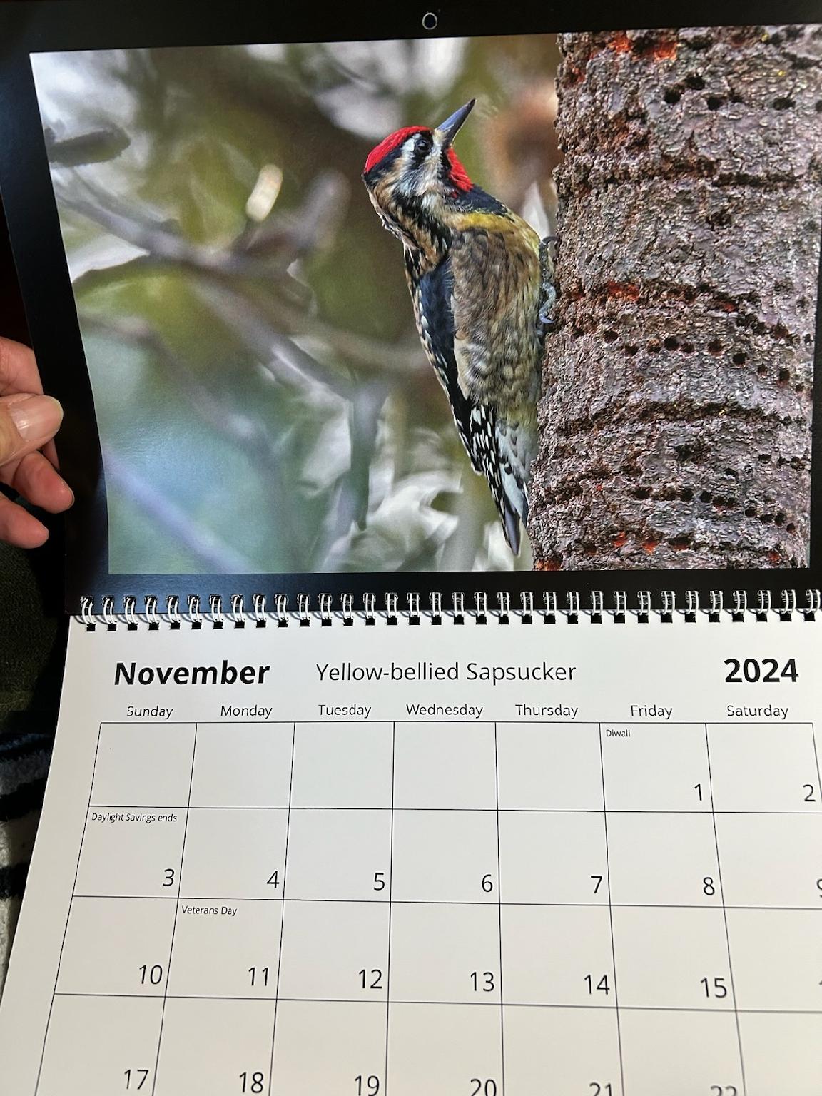 2024 Calendars by Feather's Fotos