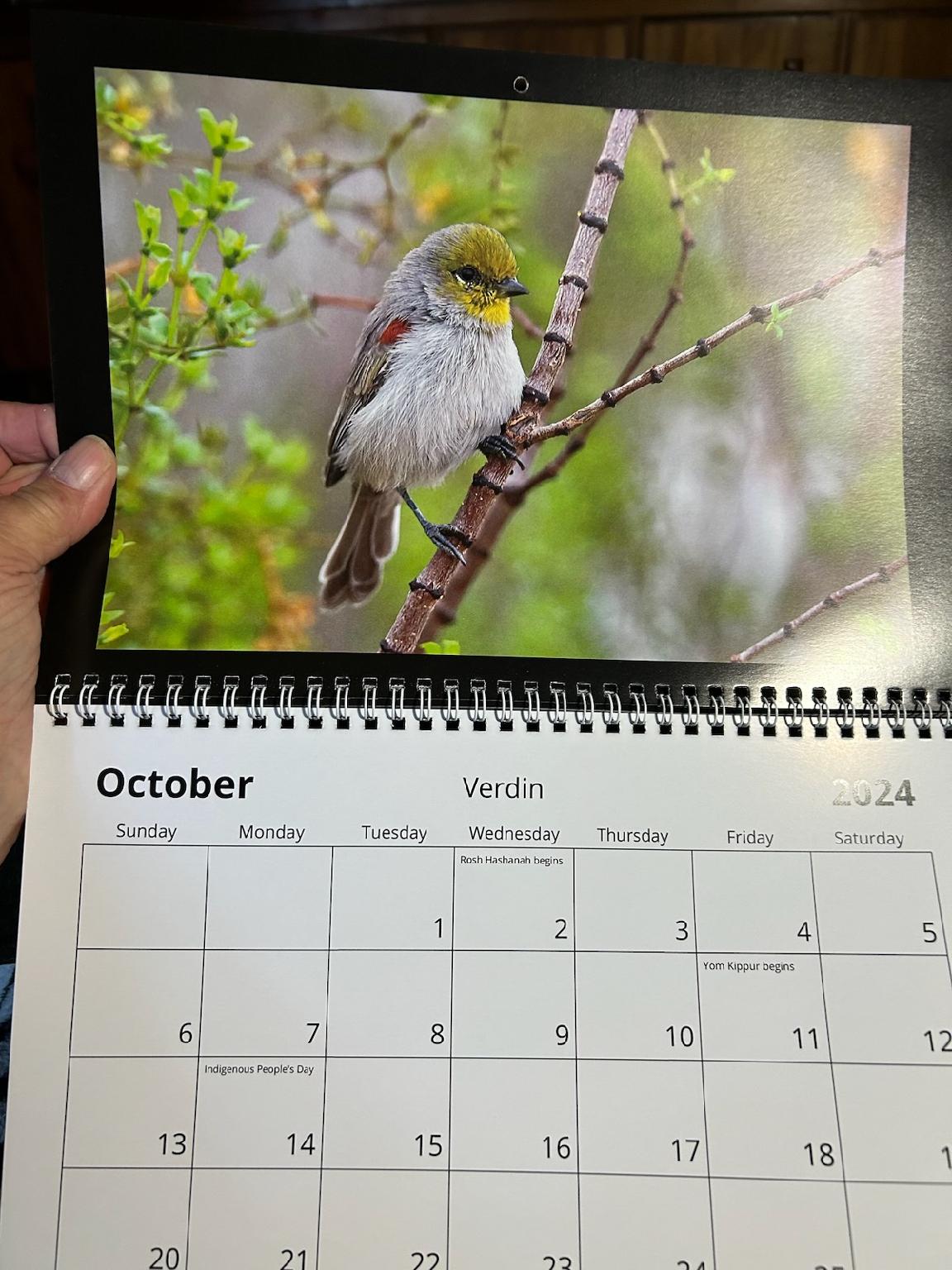 2024 Calendars by Feather's Fotos