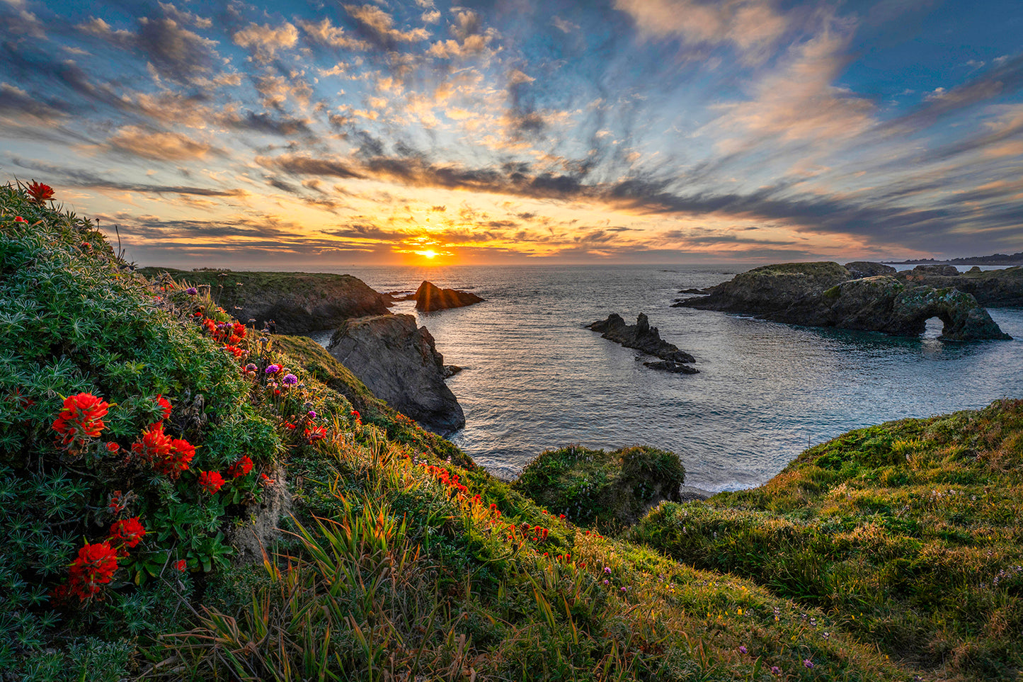 Wildflower Sunset-metal 30x20