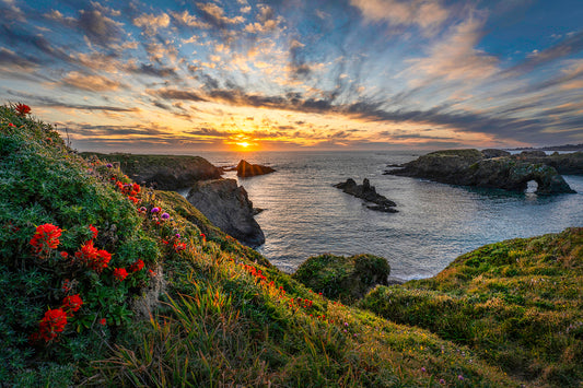 Wildflower Sunset-metal 30x20