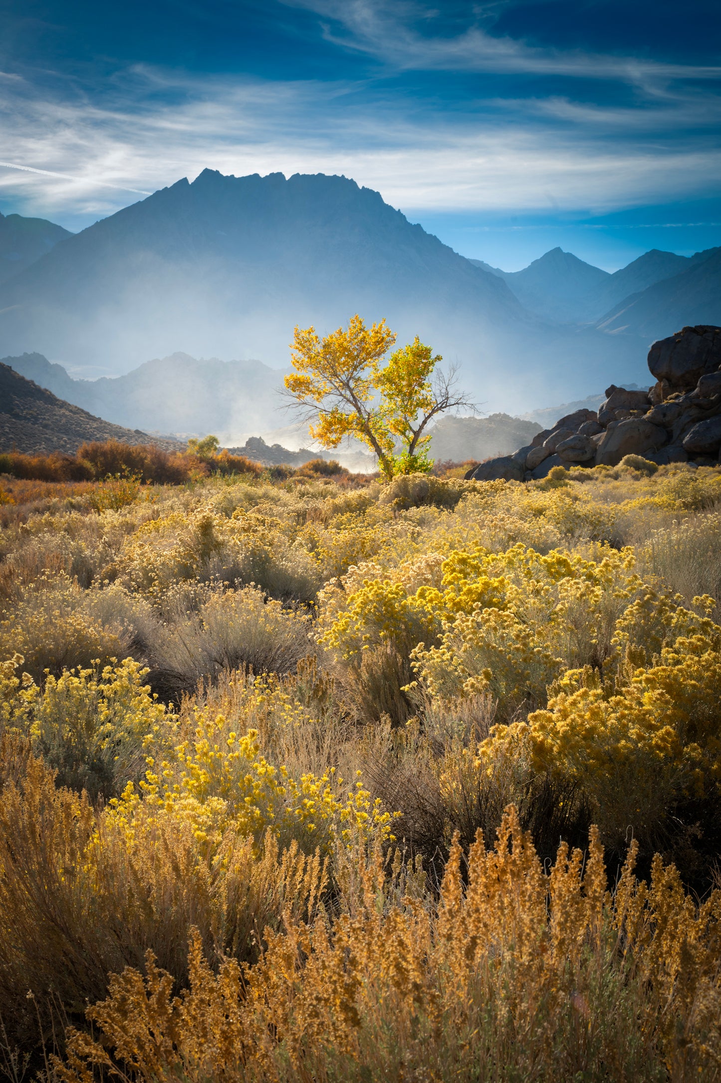 East Sierra Autumn